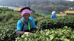 正在帮推新型工业化